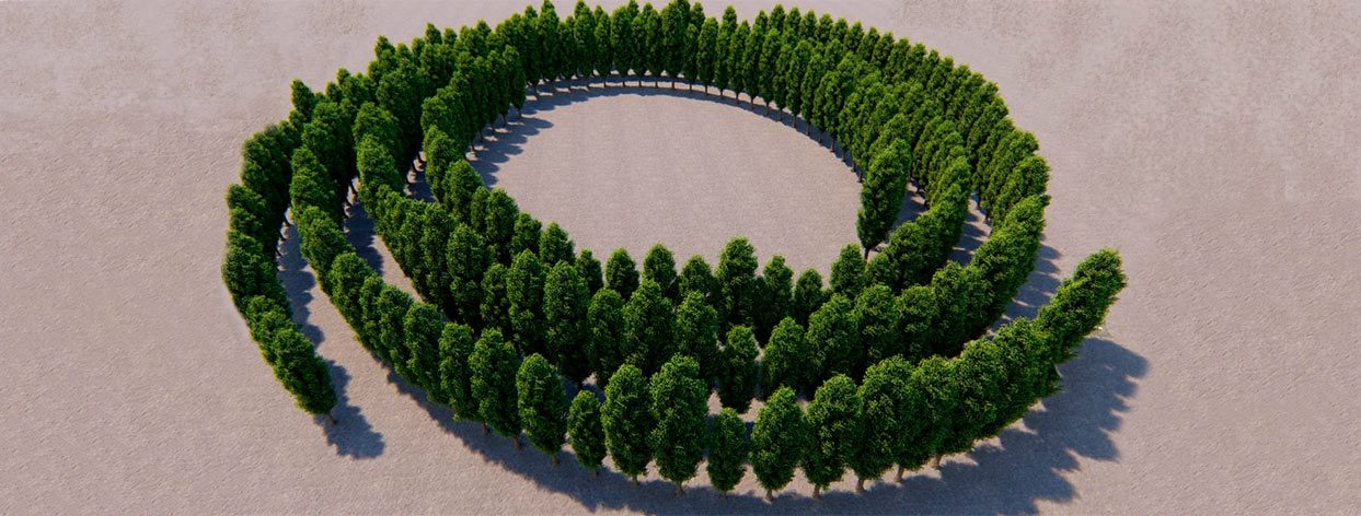 Perspectiva desde arriba de una proyección tridimensional del bosque con forma espiralada y copas frondosas.